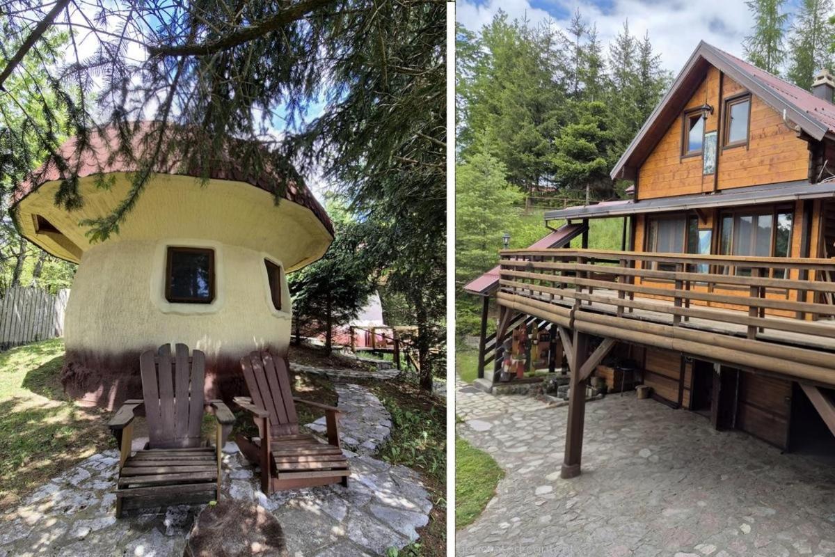 Art Apartments Minic Kolasin Luaran gambar