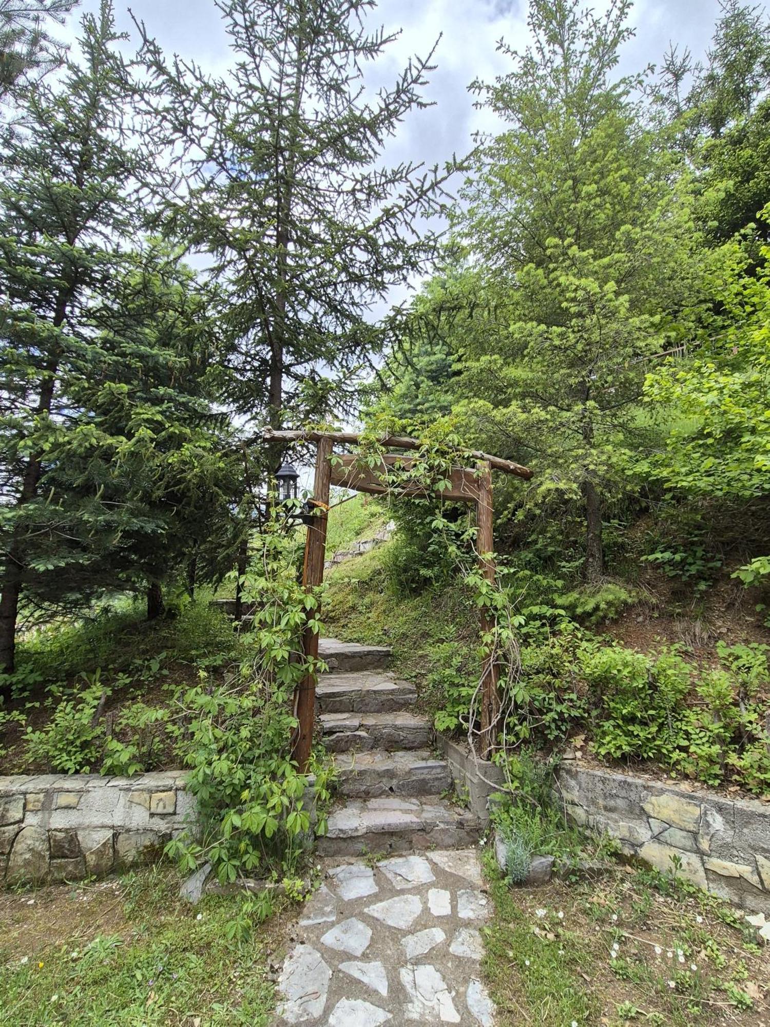 Art Apartments Minic Kolasin Luaran gambar